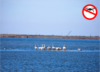 Μεσολόγγι:Η πτήση drone σε προστατευόμενες περιοχές απαιτεί ειδική άδεια