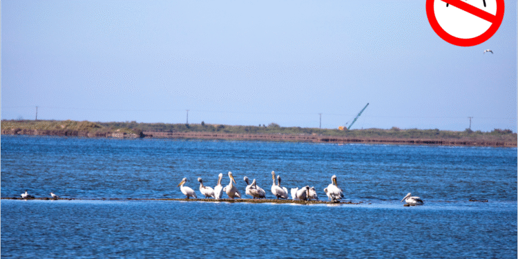 Μεσολόγγι:Η πτήση drone σε προστατευόμενες περιοχές απαιτεί ειδική άδεια