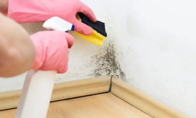 Η υγρασία στο σπίτι επηρεάζει το αναπνευστικό των παιδιών – Τι κίνδυνος υπάρχει