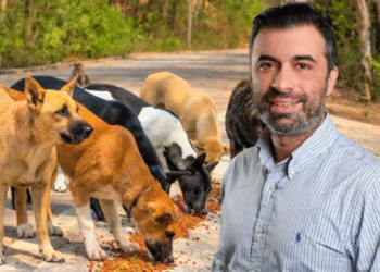 Π. Μαρνέζος: «Ο δήμος περισυνέλεξε το σκυλί που επιτέθηκε στον ιερέα της Παραβόλας» – ΗΧΗΤΙΚΟ