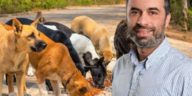 Π. Μαρνέζος: «Ο δήμος περισυνέλεξε το σκυλί που επιτέθηκε στον ιερέα της Παραβόλας» – ΗΧΗΤΙΚΟ