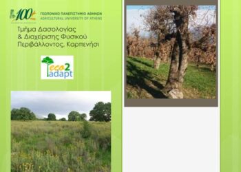 Αμφιλοχία| συνάντηση εργασίας με θέμα: «Δασολίβαδα και δάση βαλανιδιάς: Προκλήσεις και προοπτικές»