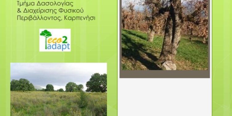 Αμφιλοχία| συνάντηση εργασίας με θέμα: «Δασολίβαδα και δάση βαλανιδιάς: Προκλήσεις και προοπτικές»