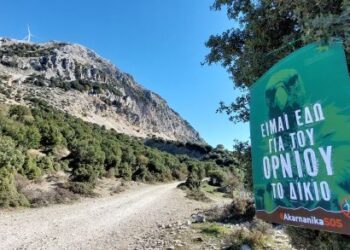 Ελληνική Ορνιθολογική Εταιρεία: Παρέμβαση διαμαρτυρίας για τα Ακαρνανικά Όρη έξω από την έδρα της Περιφέρεια Δυτικής Ελλάδας