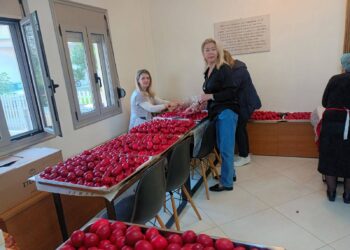 Η σύζυγος του προπονητή του Παναιτωλικού στην πρώτη γραμμή της προσφοράς – Ανθρωπιά και… ευλογία για την ομάδα