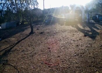 Διάρρηξη μέρα μεσημέρι στην Αλυζία – Άρπαξαν εργαλεία από επαγγελματία μέσα από αυτοκίνητο