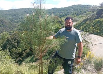 Δράση δενδροφύτευσης στο Άνω Κεράσοβο – Ενίσχυση του πρασίνου στην τοπική κοινότητα