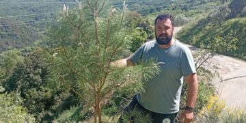 Δράση δενδροφύτευσης στο Άνω Κεράσοβο – Ενίσχυση του πρασίνου στην τοπική κοινότητα