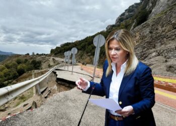 Χριστίνα Σταρακά: «Να δοθεί τώρα λύση στον δρόμο Αλευράδας – γέφυρας Τατάρνας»
