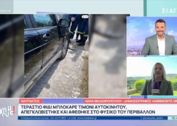 Το τεράστιο φίδι από τη Ναύπακτο έγινε θέμα σε όλη την Ελλάδα! (ΒΙΝΤΕΟ)