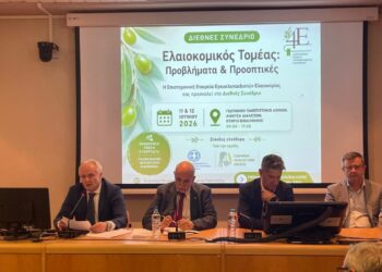 Γιάννης Ανδριανός: Η Ελλάδα αξίζει και μπορεί να έχει πολύ ισχυρότερη θέση στην παγκόσμια αγορά της ελιάς και του ελαιολάδου