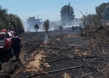 Έσβησαν τα δύο πύρινα μέτωπα σε Σκουτερά και Παραβόλα (ΦΩΤΟ)