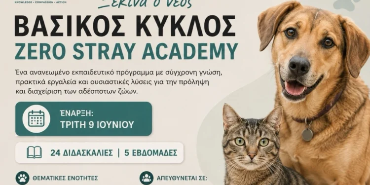 Δωρεάν εκπαιδευτικό πρόγραμμα για δήμους από το Zero Stray Academy