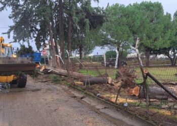 Οριοθέτηση πληγεισών περιοχών του Δήμου Αγρινίου από ανεμοστρόβιλους