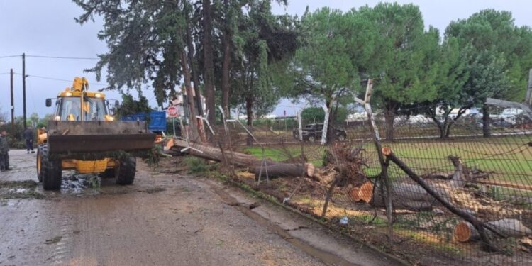 Οριοθέτηση πληγεισών περιοχών του Δήμου Αγρινίου από ανεμοστρόβιλους
