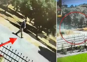Αγρίνιο: «Με εκνευρίζουν οι θάμνοι»: Η απίστευτη δικαιολογία του 50χρονου που συνελήφθη για τις πυρκαγιές