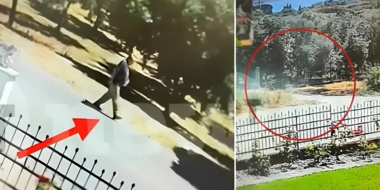 Αγρίνιο: «Με εκνευρίζουν οι θάμνοι»: Η απίστευτη δικαιολογία του 50χρονου που συνελήφθη για τις πυρκαγιές