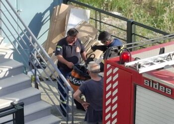Αναστάτωση στο Μεσολόγγι: Δίμετρο φίδι εμφανίστηκε σε γειτονιά – Επιχείρηση απομάκρυνσης από την Πυροσβεστική