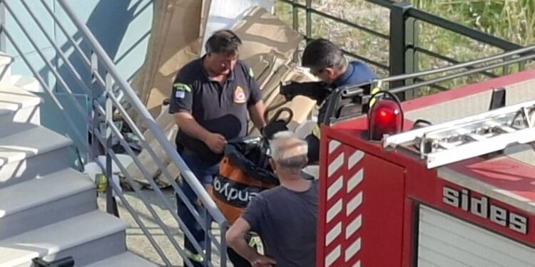 Αναστάτωση στο Μεσολόγγι: Δίμετρο φίδι εμφανίστηκε σε γειτονιά – Επιχείρηση απομάκρυνσης από την Πυροσβεστική