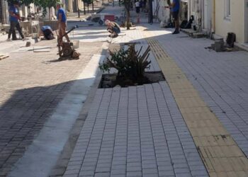 Ανοιχτή τοποθέτηση για την κοπή δέντρων κατά την ανάπλαση πεζοδρομίων στον Αστακό