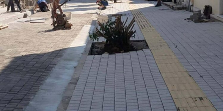 Ανοιχτή τοποθέτηση για την κοπή δέντρων κατά την ανάπλαση πεζοδρομίων στον Αστακό