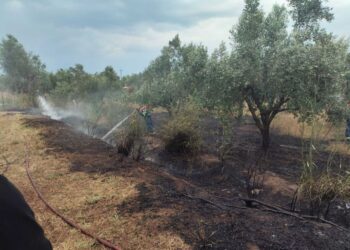 Αγρίνιο: Κεραυνός έπληξε κυπαρίσσι στο Παναιτώλιο και προκάλεσε φωτιά – Άμεση επέμβαση της Πυροσβεστικής