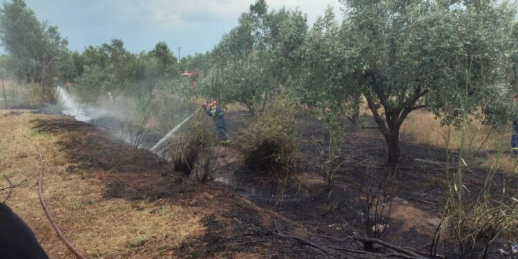 Αγρίνιο: Κεραυνός έπεσε σε κυπαρίσσι στο Παναιτώλιο και προκάλεσε φωτιά – Άμεση επέμβαση της Πυροσβεστικής (ΦΩΤΟ)