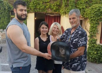 Αγρίνιο: Υιοθετήθηκαν όλα τα γατάκια και η μητέρα τους από τον θερινό κινηματογράφο «Ελληνίς»