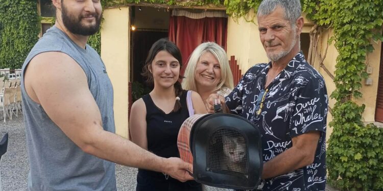 Αγρίνιο: Υιοθετήθηκαν όλα τα γατάκια και η μητέρα τους από τον θερινό κινηματογράφο «Ελληνίς»
