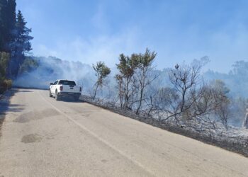 Πυρκαγιά στη Νέα Καμαρίνα Βόνιτσας – Ισχυρή κινητοποίηση της Πυροσβεστικής και του Δήμου