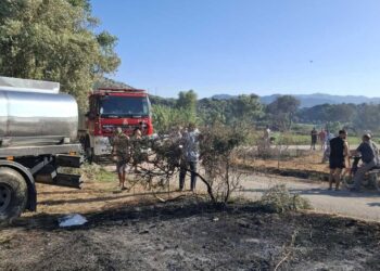 Πλαγιά: Η έγκαιρη επέμβαση απέτρεψε την επέκταση της φωτιάς (βίντεο)