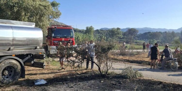 Πλαγιά: Η έγκαιρη επέμβαση απέτρεψε την επέκταση της φωτιάς (βίντεο)