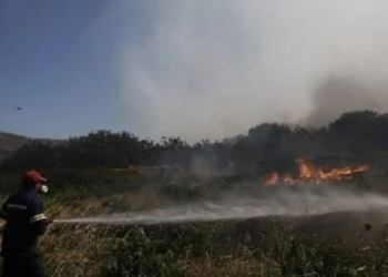 Θεσσαλονίκη: Αγροτοδασική πυρκαγιά στην περιοχή Περιβολάκι στον Λαγκαδά