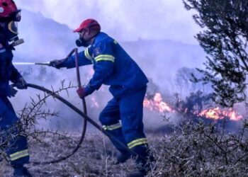 Αγρίνιο: Στη φυλακή ο εμπρηστής της Παραβόλας – Η ποινή που του επέβαλε το δικαστήριο