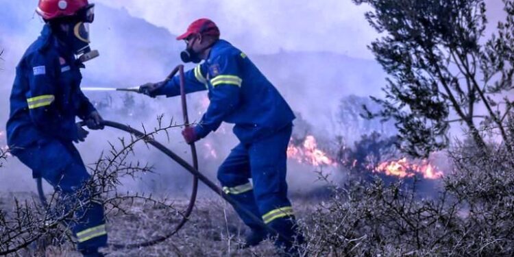 Αγρίνιο: Στη φυλακή ο εμπρηστής της Παραβόλας – Η ποινή που του επέβαλε το δικαστήριο