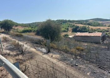 Υπό πλήρη έλεγχο η μεγάλη πυρκαγιά στα Λιβαδάκια Βόνιτσας – Προβληματισμός για τις επαναλαμβανόμενες εστίες