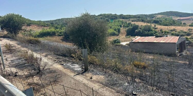 Υπό πλήρη έλεγχο η μεγάλη πυρκαγιά στα Λιβαδάκια Βόνιτσας – Προβληματισμός για τις επαναλαμβανόμενες εστίες