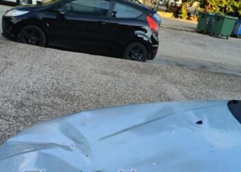 Σοβαρό περιστατικό στο Θέρμο: Πλάτανος κατέρρευσε σε σταθμευμένο όχημα – Έντονη ανησυχία για το μεταχρωματικό έλκος