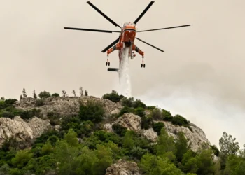 Φωτιά τώρα στην Πλαγιά Βόνιτσας, επιχειρούν 3 εναέρια (ΒΙΝΤΕΟ)