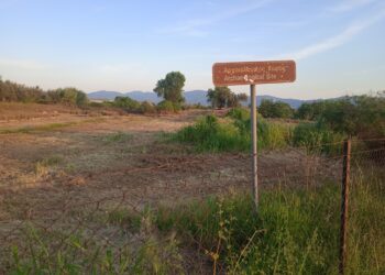 Το αρχαίο Αγρίνιο ως σημαντική πολιτιστική επιλογή