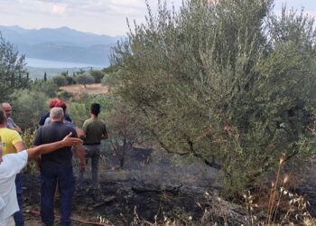 Υπό έλεγχο η φωτιά στη Λεπενού – Άμεση επέμβαση της Πυροσβεστικής απέτρεψε τα χειρότερα