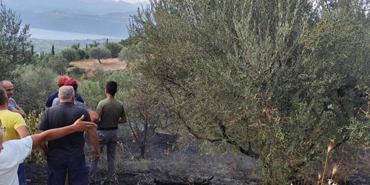 Υπό έλεγχο η φωτιά στη Λεπενού – Άμεση επέμβαση της Πυροσβεστικής απέτρεψε τα χειρότερα