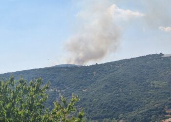 Φωτιά στη Νερομάνα Αγρινίου: Μεγάλη κινητοποίηση της Πυροσβεστικής – Επιχειρούν εναέρια μέσα, ήχησε το 112 (ΦΩΤΟ)