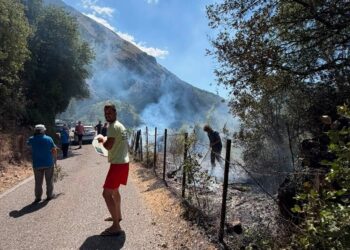 Εμπεσός: Νέα πυρκαγιά κοντά στον παλαιό οικισμό – Άμεση κινητοποίηση των κατοίκων