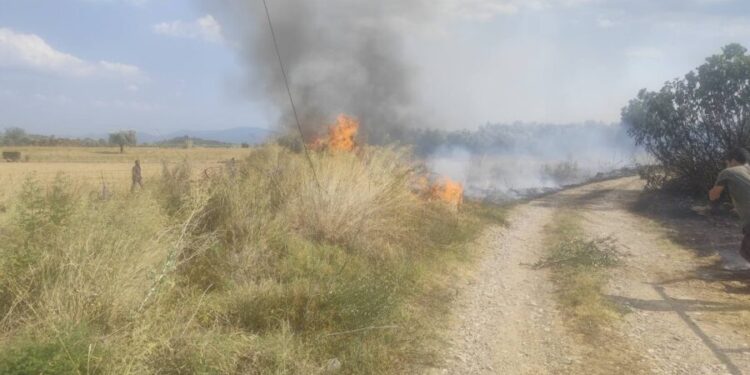 Υπό έλεγχο η φωτιά στη Λεπενού – Άμεση επέμβαση της Πυροσβεστικής απέτρεψε τα χειρότερα