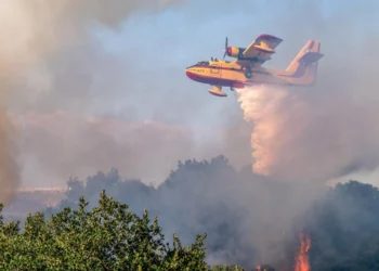 Φωτιά σε δασική έκταση στο Πεντάκορφο, σηκώθηκαν 2 αεροσκάφη