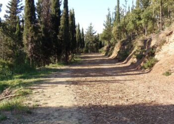 Αγρίνιο: Απαγόρευση κυκλοφορίας στο Δασύλλιο Αγ. Χριστοφόρου μέχρι το τέλος της αντιπυρικής μετά από περιστατικό απόπειρας εμπρησμού