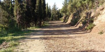 Αγρίνιο: Απαγόρευση κυκλοφορίας στο Δασύλλιο Αγ. Χριστοφόρου μέχρι το τέλος της αντιπυρικής μετά από περιστατικό απόπειρας εμπρησμού