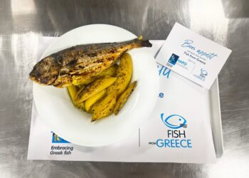Νεανική ενέργεια, ελληνική φύση και γεύση Fish from Greece!