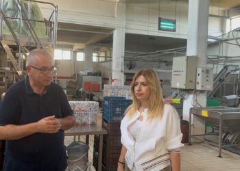 Στην «πρώτη γραμμή» της επιχειρηματικότητας η Νίκη Φλώρου-Καραγιάννη – Νέος κύκλος επαφών με τις επιχειρήσεις της Αιτωλοακαρνανίας